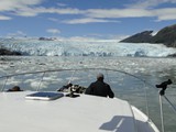 Seals on Ice Off Chenega Glacier